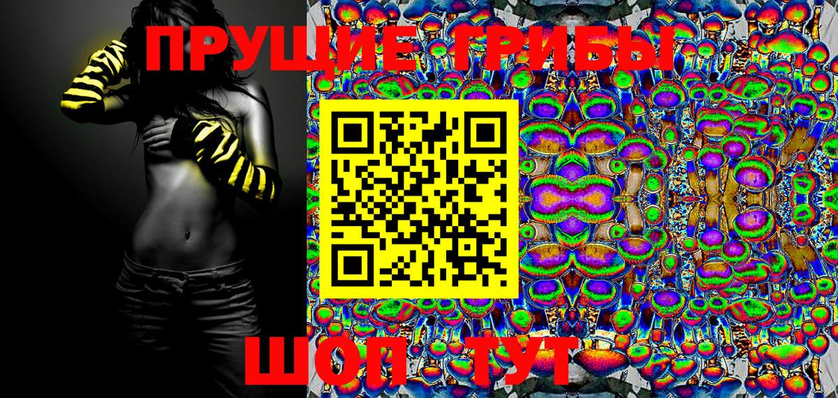 Галлюциногенные грибы MAGIC MUSHROOMS  Вход с VPN  Владимир 